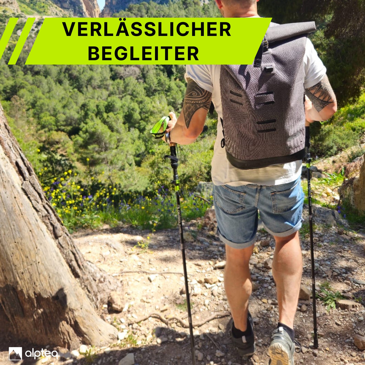 Dufourspitze - faltbare Wanderstöcke aus Carbon | Lime 115-135 cm