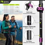 Dufourspitze - faltbare Wanderstöcke aus Carbon | Pink 100-120 cm