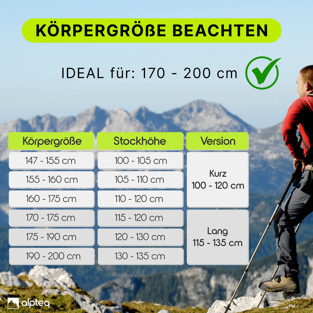 Foldable hiking poles - aluminum