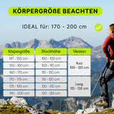 Dufourspitze - faltbare Wanderstöcke aus Carbon | Lime 115-135 cm