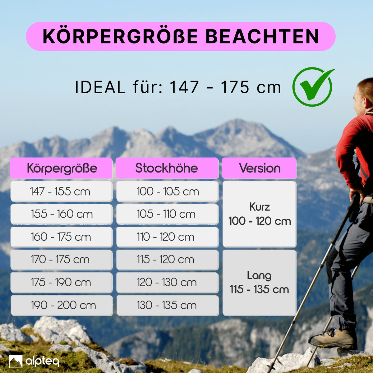Dufourspitze - faltbare Wanderstöcke aus Carbon | Pink 100-120 cm