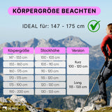 Dufourspitze - faltbare Wanderstöcke aus Carbon | Pink 100-120 cm